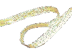    "-2" (46Kb)