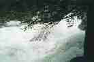  -2002 (16Kb)